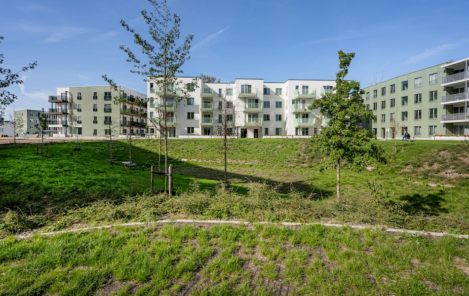 Het park van Bloei krijgt vorm