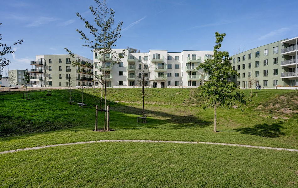 Het park van Bloei krijgt vorm